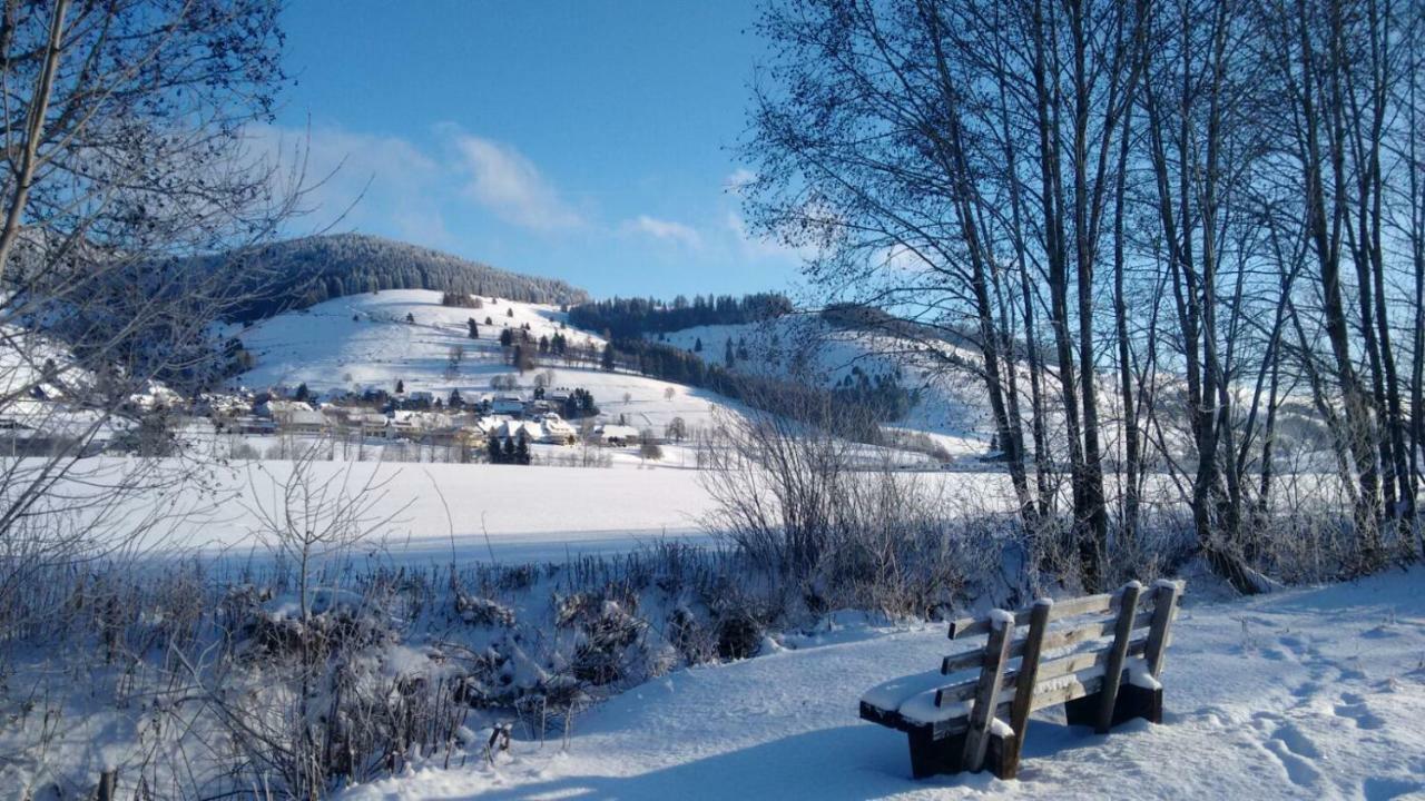 Fewo Mit Pool Haus Enere Au Todtmoos Exteriér fotografie