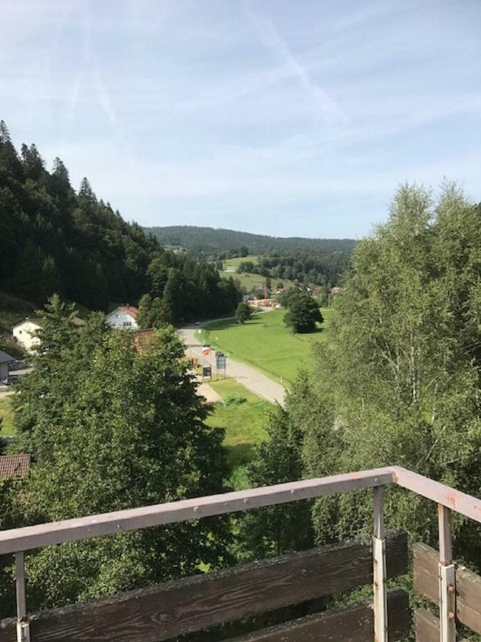 Fewo Mit Pool Haus Enere Au Todtmoos Exteriér fotografie
