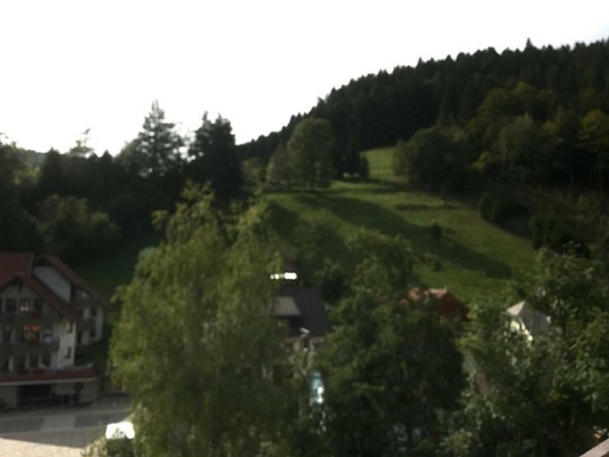 Fewo Mit Pool Haus Enere Au Todtmoos Exteriér fotografie