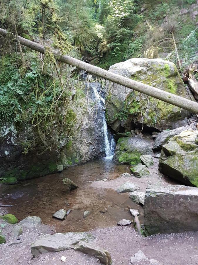 Fewo Mit Pool Haus Enere Au Todtmoos Exteriér fotografie