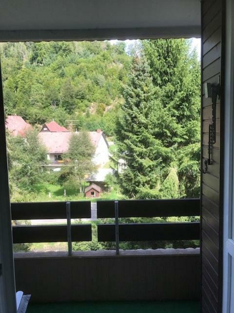 Fewo Mit Pool Haus Enere Au Todtmoos Exteriér fotografie
